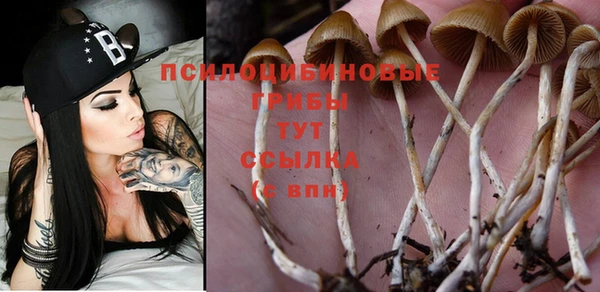 таблы Карпинск