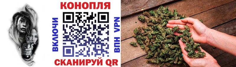 Купить закладки  Ленинск-Кузнецкий  МАРИХУАНА планчик 